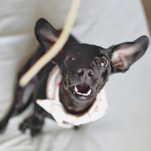 Meet your Posher, Kelly